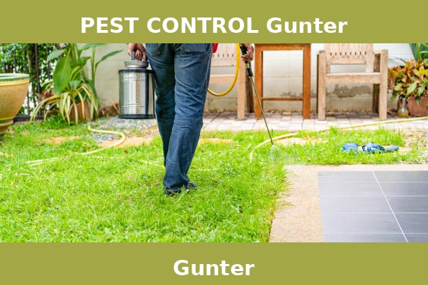 PEST CONTROL Gunter